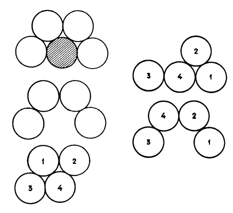 Иллюстрация к книге — Головоломки профессора Головоломки: сборник загадок, фокусов и занимательных задач [i_113.jpg]