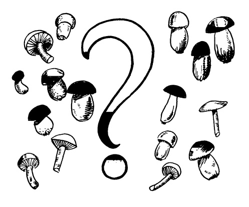 Иллюстрация к книге — Головоломки профессора Головоломки: сборник загадок, фокусов и занимательных задач [i_138.jpg]