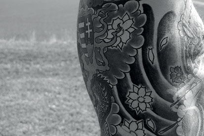 Иллюстрация к книге — Ультиматум удовольствия [i_001.jpg]