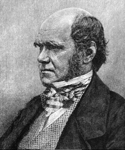 Иллюстрация к книге — Тайны эволюции [i_001.jpg]