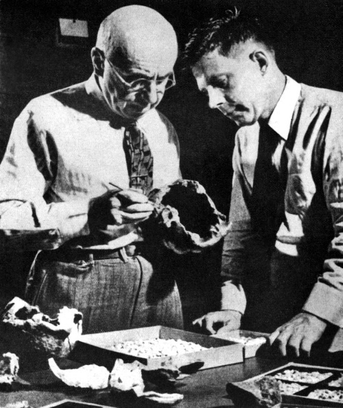 Иллюстрация к книге — Тайны эволюции [i_003.jpg]