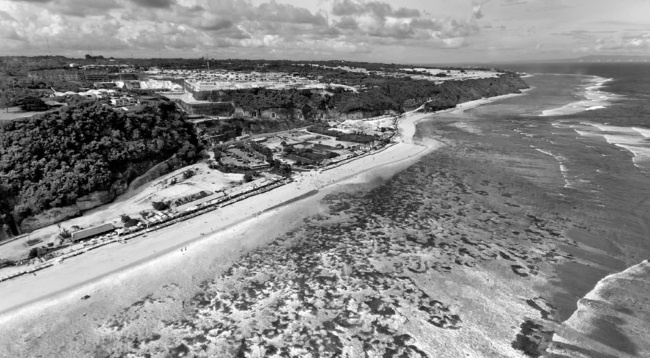 Иллюстрация к книге — Тайны эволюции [i_019.jpg]