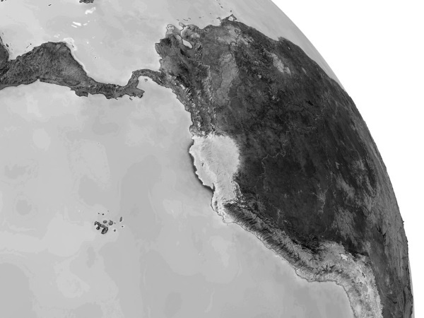 Иллюстрация к книге — Тайны эволюции [i_023.jpg]