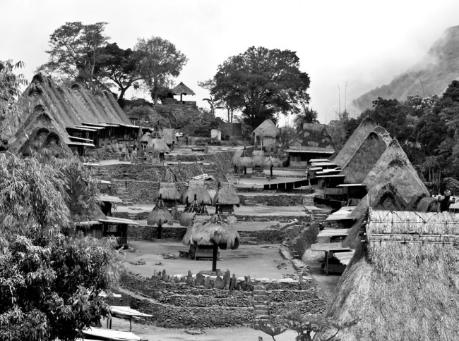 Иллюстрация к книге — Тайны эволюции [i_028.jpg]