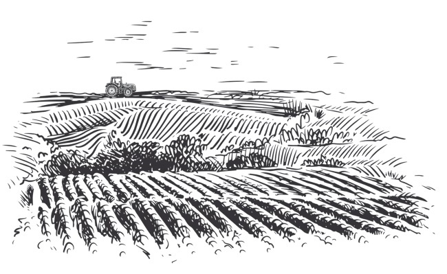 Иллюстрация к книге — Дилемма всеядного: шокирующее исследование рациона современного человека [i_001.jpg]