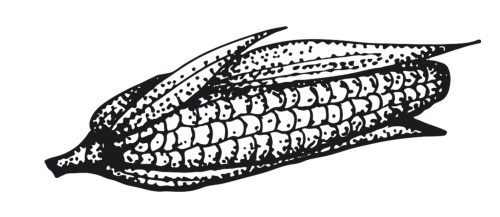 Иллюстрация к книге — Дилемма всеядного: шокирующее исследование рациона современного человека [i_002.jpg]