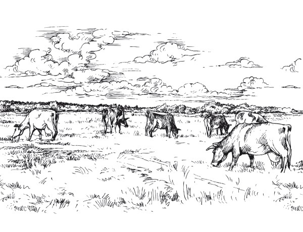 Иллюстрация к книге — Дилемма всеядного: шокирующее исследование рациона современного человека [i_012.jpg]