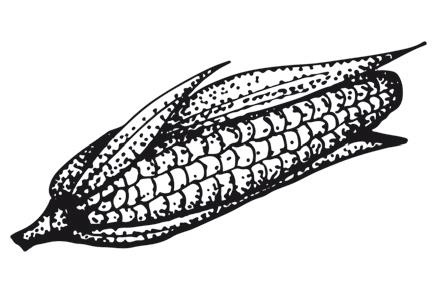 Иллюстрация к книге — Дилемма всеядного: шокирующее исследование рациона современного человека [i_014.jpg]