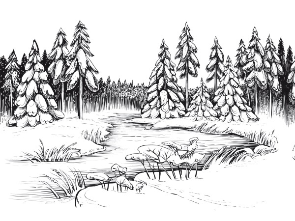 Иллюстрация к книге — Дилемма всеядного: шокирующее исследование рациона современного человека [i_018.jpg]