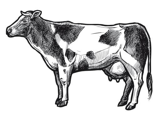 Иллюстрация к книге — Дилемма всеядного: шокирующее исследование рациона современного человека [i_020.jpg]