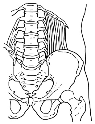 Иллюстрация к книге — Никто, кроме вас. Рассказы, которые могут спасти жизнь [i_012.jpg]