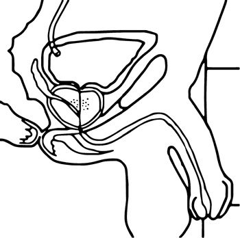Иллюстрация к книге — Никто, кроме вас. Рассказы, которые могут спасти жизнь [i_021.jpg]