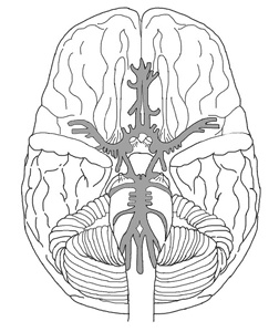 Иллюстрация к книге — Никто, кроме вас. Рассказы, которые могут спасти жизнь [i_027.jpg]