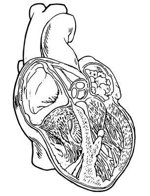 Иллюстрация к книге — Никто, кроме вас. Рассказы, которые могут спасти жизнь [i_035.jpg]