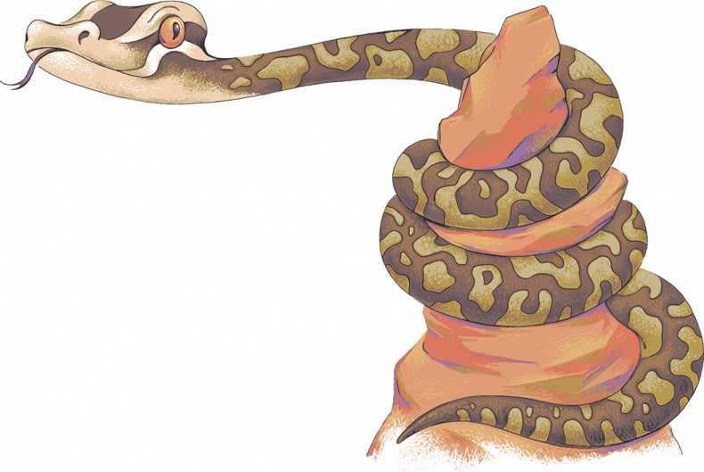 Иллюстрация к книге — Рассказы просто так (сборник) [i_004.jpg]