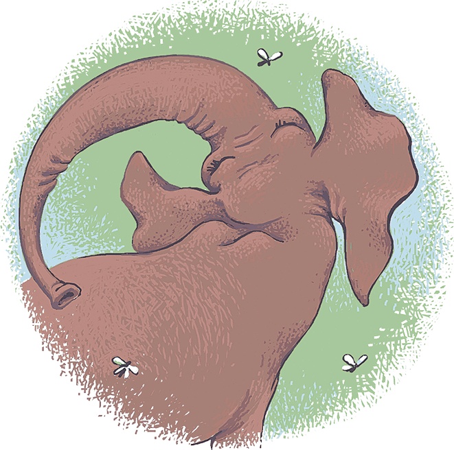 Иллюстрация к книге — Рассказы просто так (сборник) [i_014.jpg]