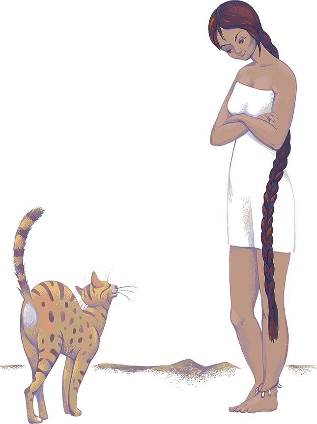 Иллюстрация к книге — Рассказы просто так (сборник) [i_019.jpg]