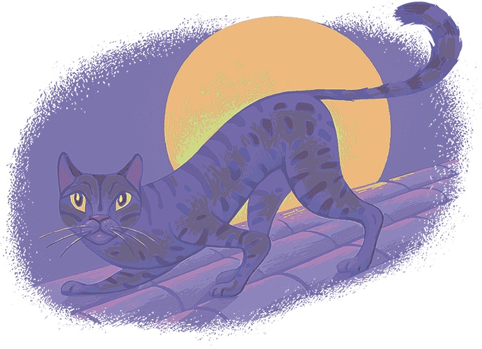 Иллюстрация к книге — Рассказы просто так (сборник) [i_020.jpg]