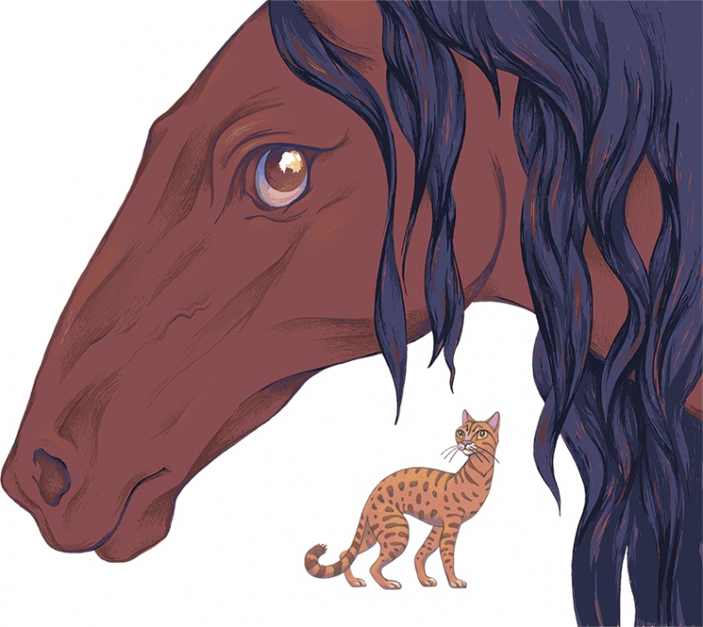 Иллюстрация к книге — Рассказы просто так (сборник) [i_025.jpg]