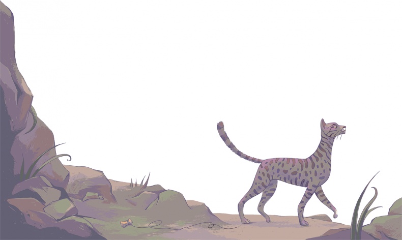 Иллюстрация к книге — Рассказы просто так (сборник) [i_032.jpg]