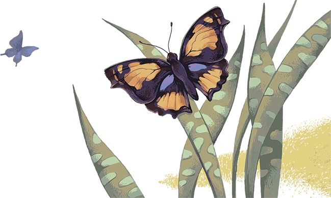 Иллюстрация к книге — Рассказы просто так (сборник) [i_036.jpg]