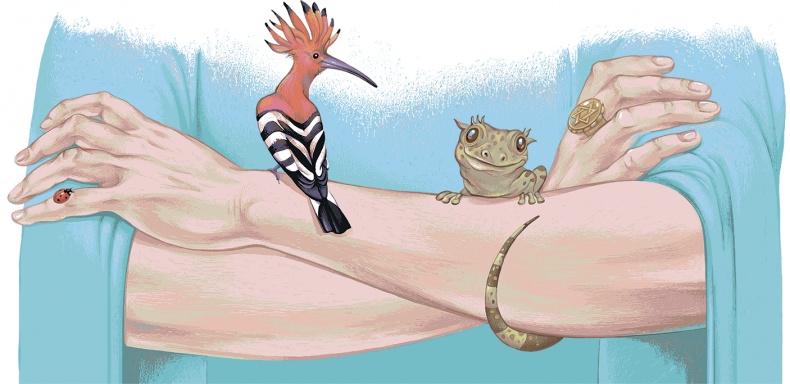 Иллюстрация к книге — Рассказы просто так (сборник) [i_041.jpg]