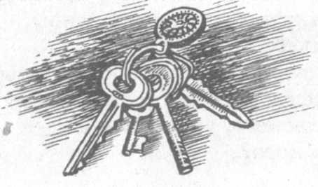 Иллюстрация к книге — В поисках бриллиантовой диадемы [doc2fb_image_02000007.jpg]