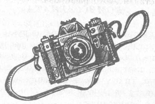 Иллюстрация к книге — В поисках бриллиантовой диадемы [doc2fb_image_02000009.jpg]