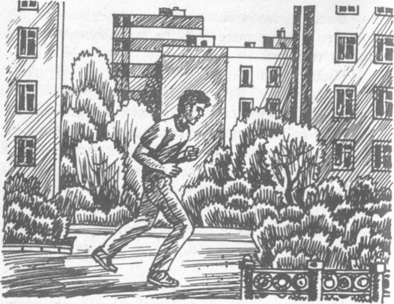 Иллюстрация к книге — В поисках бриллиантовой диадемы [doc2fb_image_0200000f.jpg]