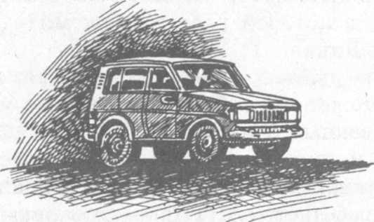 Иллюстрация к книге — В поисках бриллиантовой диадемы [doc2fb_image_02000012.jpg]