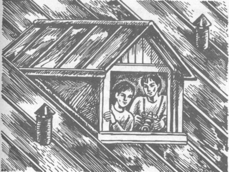 Иллюстрация к книге — В поисках бриллиантовой диадемы [doc2fb_image_02000017.jpg]