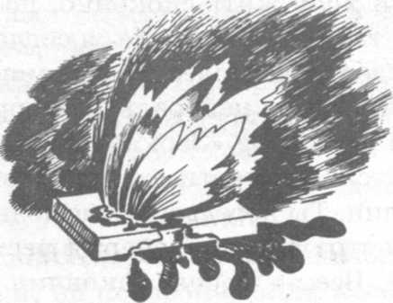 Иллюстрация к книге — В поисках бриллиантовой диадемы [doc2fb_image_0200001c.jpg]