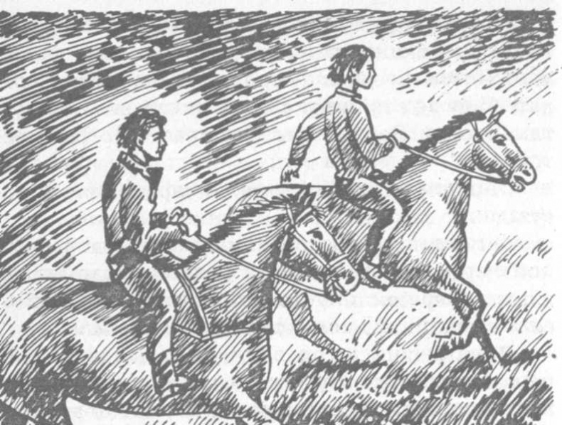 Иллюстрация к книге — В поисках бриллиантовой диадемы [doc2fb_image_0200001f.jpg]