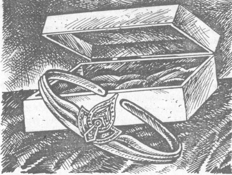 Иллюстрация к книге — В поисках бриллиантовой диадемы [doc2fb_image_02000021.jpg]