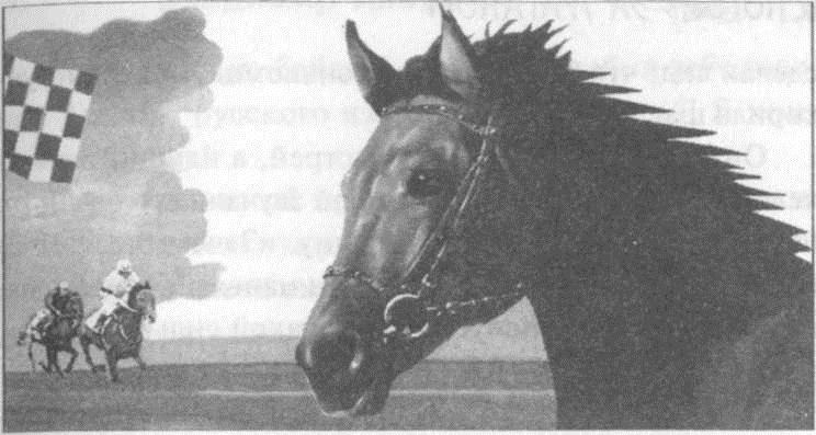 Иллюстрация к книге — В погоне за ураганом [horse.jpg]