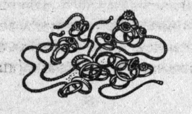 Иллюстрация к книге — Тайна наглой сороки [doc2fb_image_03000005.jpg]