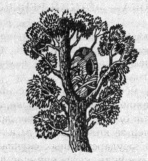 Иллюстрация к книге — Тайна наглой сороки [doc2fb_image_03000009.jpg]