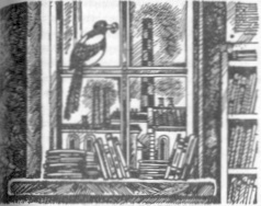 Иллюстрация к книге — Тайна наглой сороки [doc2fb_image_03000012.jpg]