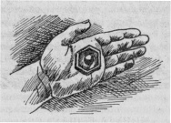 Иллюстрация к книге — Тайна наглой сороки [doc2fb_image_03000013.jpg]