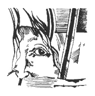 Иллюстрация к книге — Тайна монеты Каракаллы [i_016.jpg]