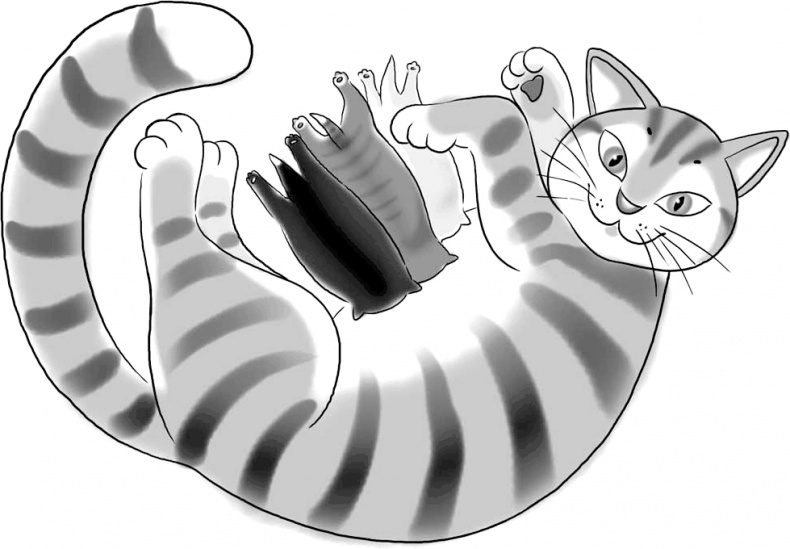 Иллюстрация к книге — Череп в клубнике и другие тайны Тополиной дачи [i_001.jpg]