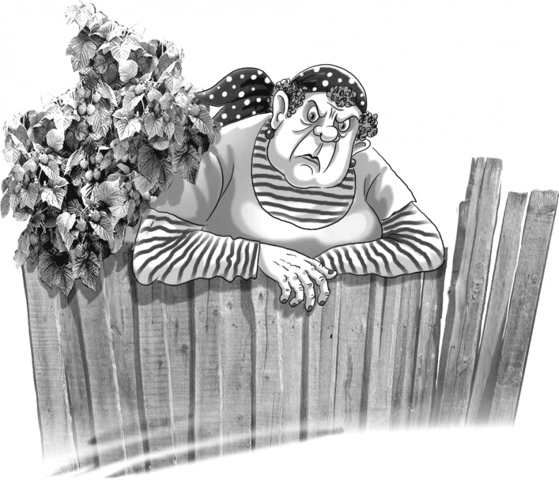 Иллюстрация к книге — Череп в клубнике и другие тайны Тополиной дачи [i_005.jpg]