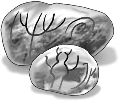 Иллюстрация к книге — Череп в клубнике и другие тайны Тополиной дачи [i_011.jpg]