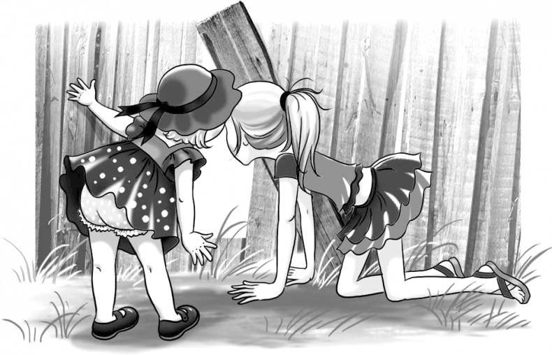 Иллюстрация к книге — Череп в клубнике и другие тайны Тополиной дачи [i_022.jpg]