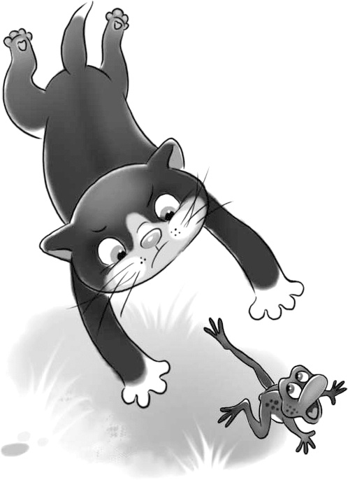 Иллюстрация к книге — Череп в клубнике и другие тайны Тополиной дачи [i_026.jpg]