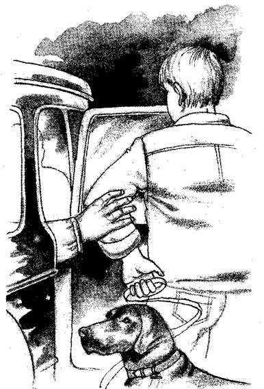 Иллюстрация к книге — Блин и зеленая макака [i_006.jpg]