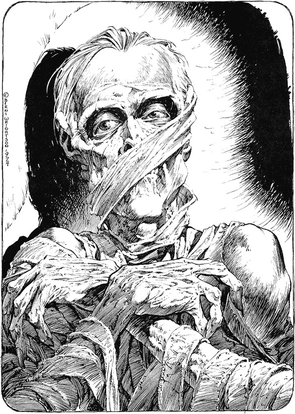 Иллюстрация к книге — Возвращение мумии [i_002.jpg]