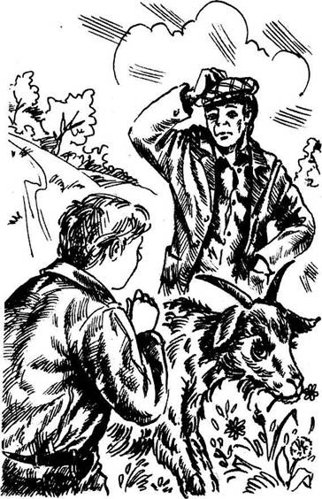 Иллюстрация к книге — Праздник обжоры [i_006.jpg]