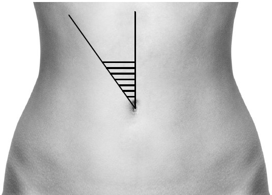 Иллюстрация к книге — Кишечник с комфортом, желудок без проблем [i_005.jpg]