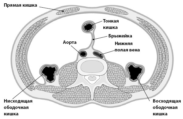 Иллюстрация к книге — Кишечник с комфортом, желудок без проблем [i_018.jpg]